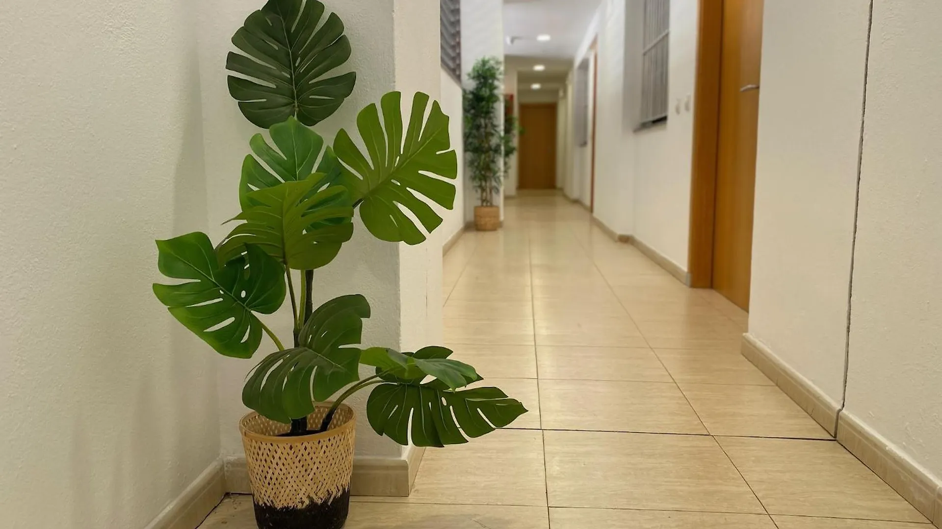 Apartments Brava Lloret de Mar